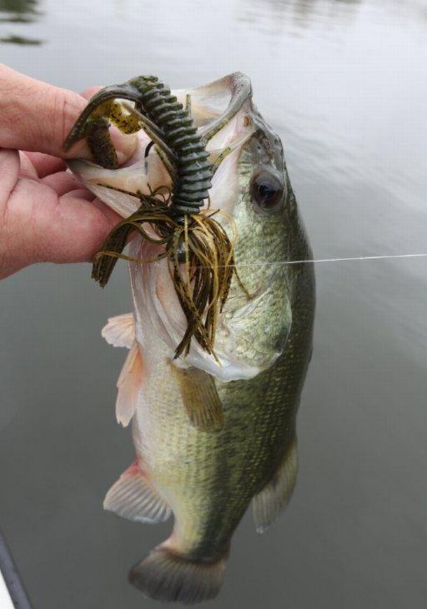 US state moves to ban soft plastics